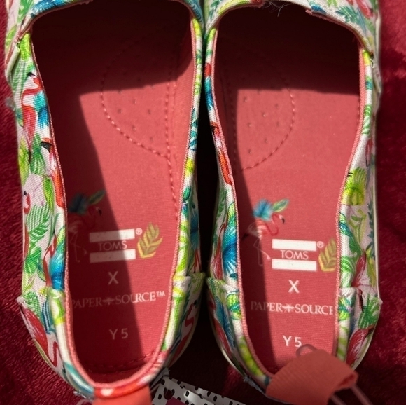 LIMITED Edition Pink Flamingo Toms Y5 - Picture 4 of 7